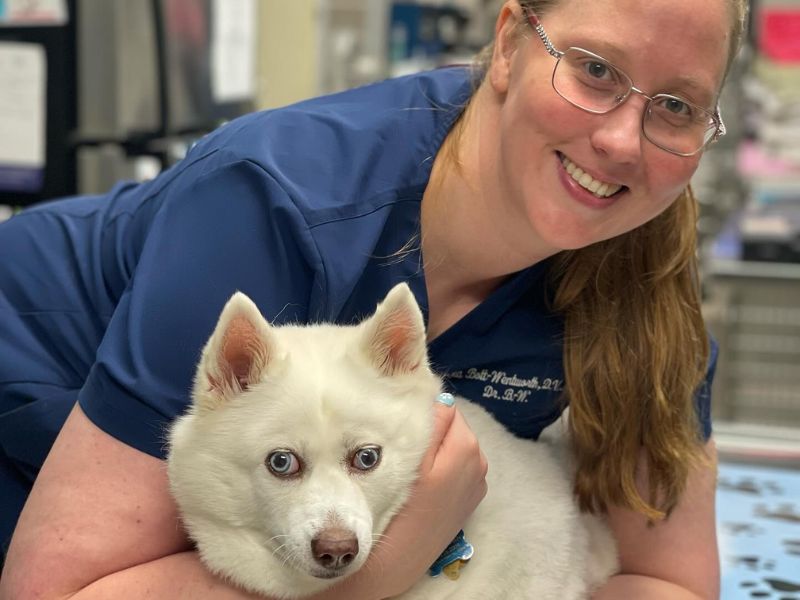 Willowbrook Animal Clinic Forms