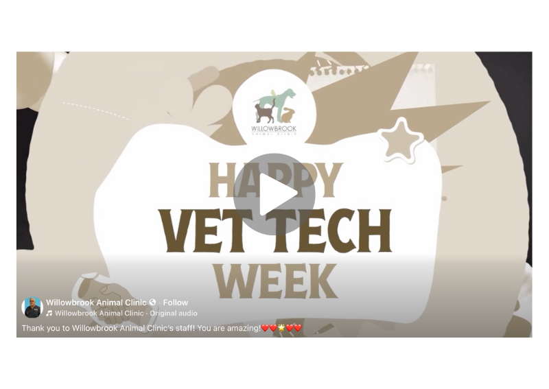 Carousel Slide 1: Happy Vet Tech Week!