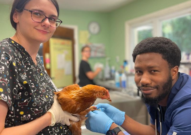 Carousel Slide 4: Bird veterinary care