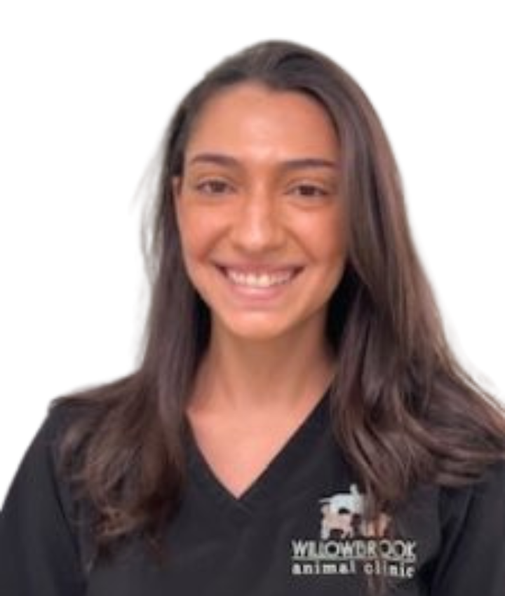 Portrait of Chelsea Nazario