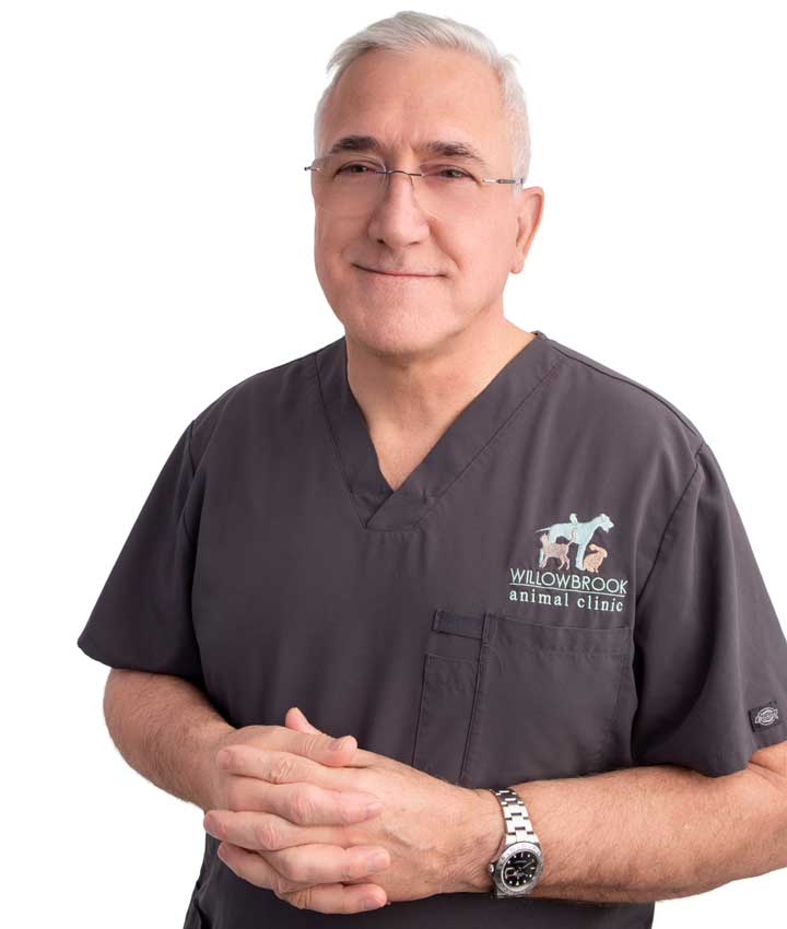 John Palescandolo
