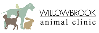 Link to Homepage of Willowbrook Animal Clinic